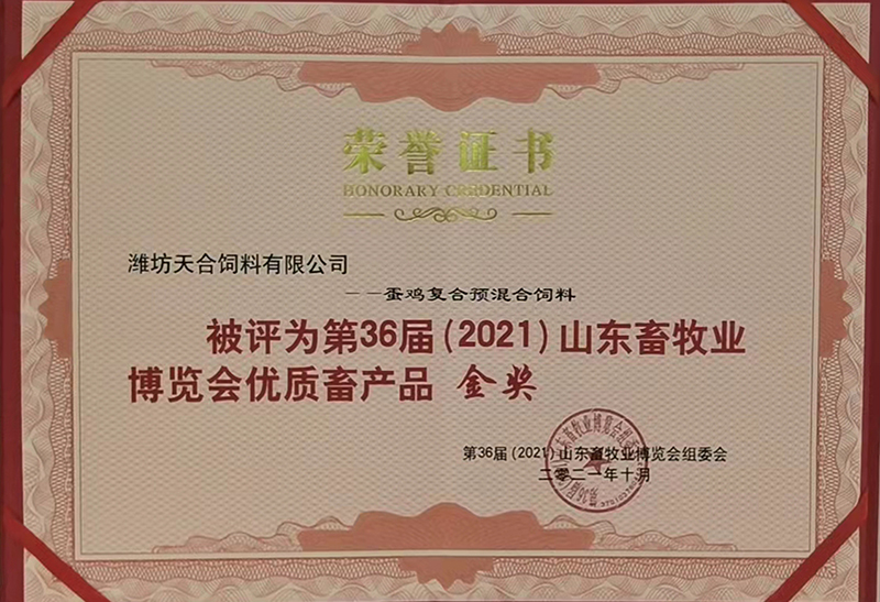 金奖